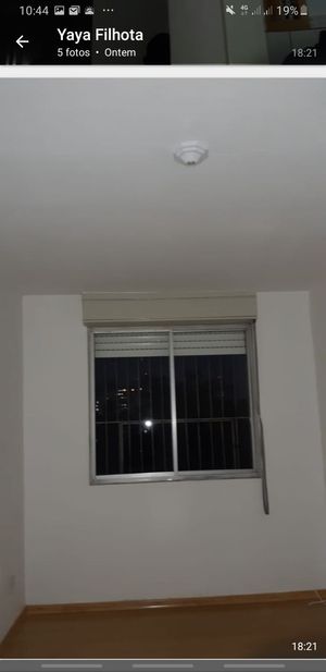 Image 37 - 203445