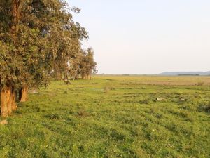 Image 4 - 203490