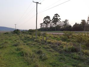 Image 5 - 203490