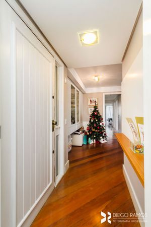 Image 35 - 203545