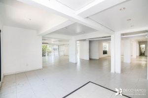 Image 31 - 203603
