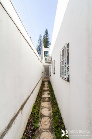 Image 41 - 203637
