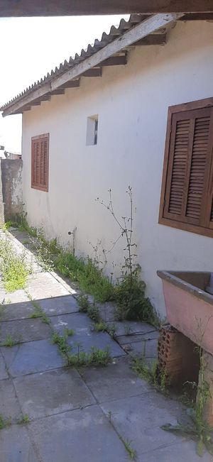 Image 10 - 203796