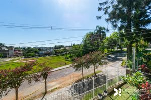Image 4 - 203797