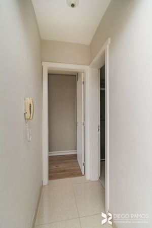 Image 19 - 203806