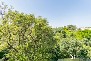 Image 11 - 203925