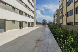 Image 38 - 203988
