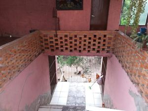 Image 3 - 204045