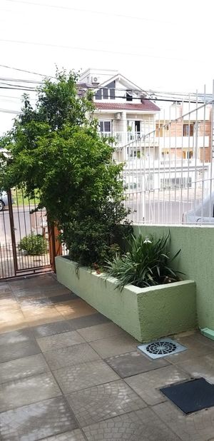 Image 18 - 204202