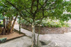 Image 53 - 204241
