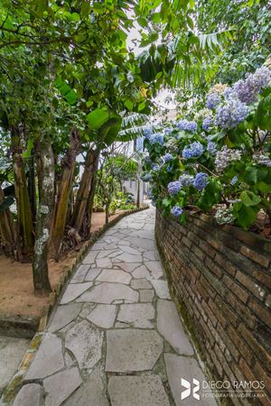Image 55 - 204241