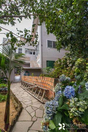 Image 60 - 204241