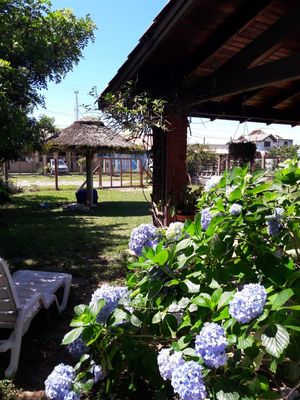Image 4 - 204377