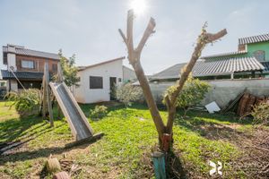 Image 34 - 204582