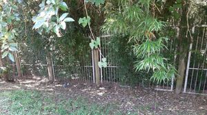 Image 5 - 204664