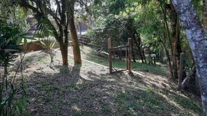 Image 4 - 204664