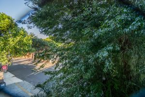 Image 7 - 204751