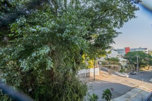 Image 17 - 204751