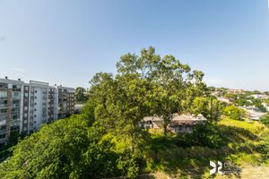 Image 8 - 204776