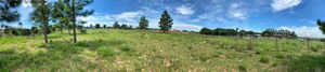 Image 0 - 204983