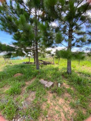Image 6 - 204983