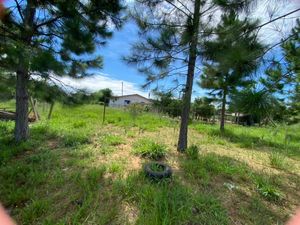 Image 5 - 204983