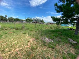 Image 4 - 204983
