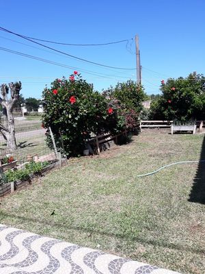 Image 10 - 204989