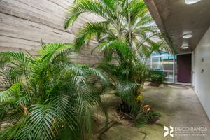 Image 5 - 205252