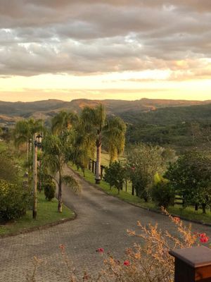 Image 13 - 205358