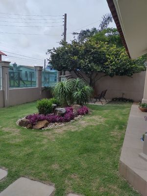 Image 26 - 205681
