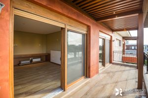 Image 23 - 205823