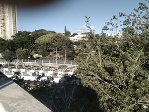 Image 40 - 205973