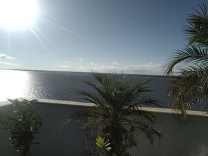 Image 28 - 205973