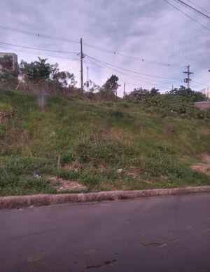 Image 7 - 206195