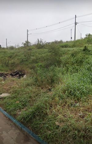 Image 4 - 206195