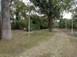 Image 2 - 206638
