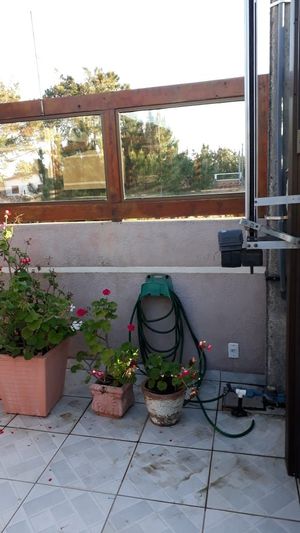 Image 3 - 206721