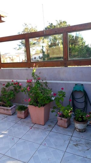 Image 4 - 206721