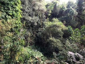 Image 4 - 206749