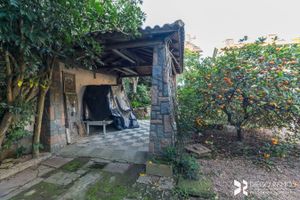 Image 35 - 206952
