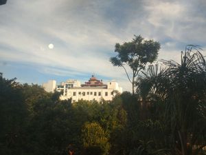 Image 4 - 207088
