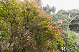 Image 12 - 207150