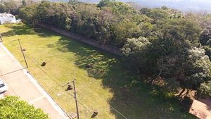 Image 11 - 207438
