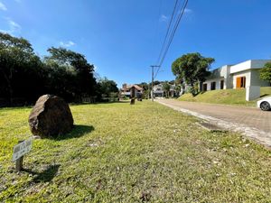 Image 1 - 207438