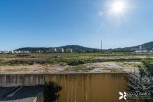 Image 20 - 207930
