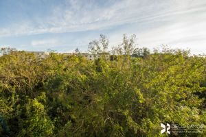 Image 8 - 208108