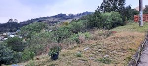 Image 4 - 208209
