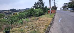 Image 5 - 208209