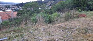 Image 6 - 208209